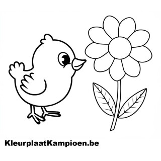 Kleurplaat - pasen