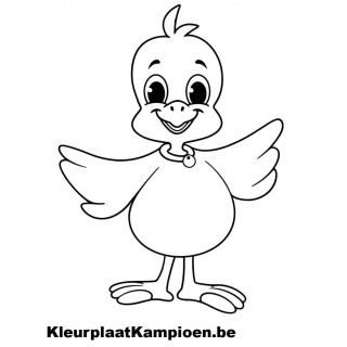 Kleurplaat - kuiken